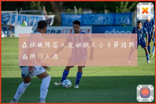森林狼阵容大变动欧文小卡萨格斯成热门人选